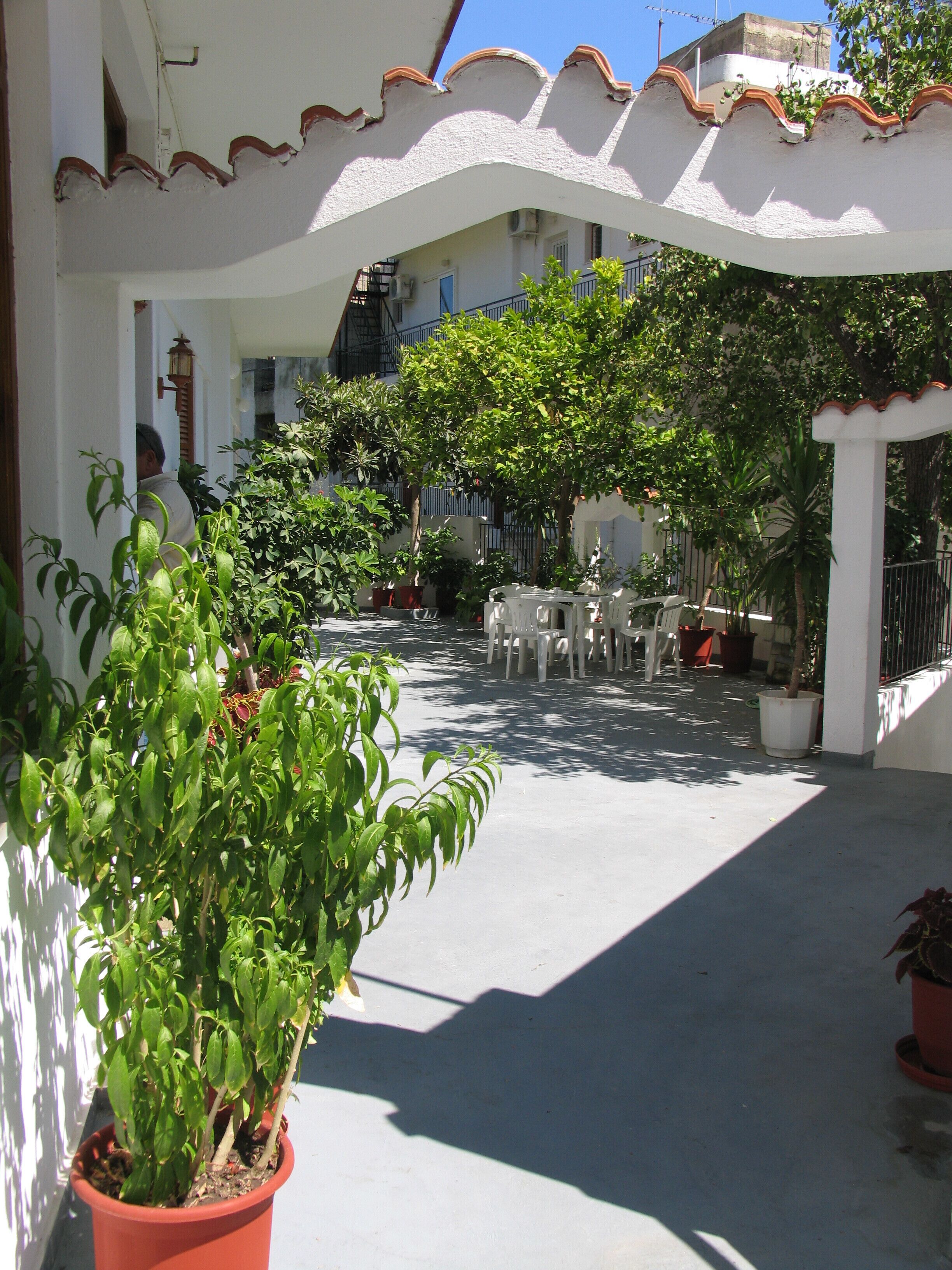 Julieta's House