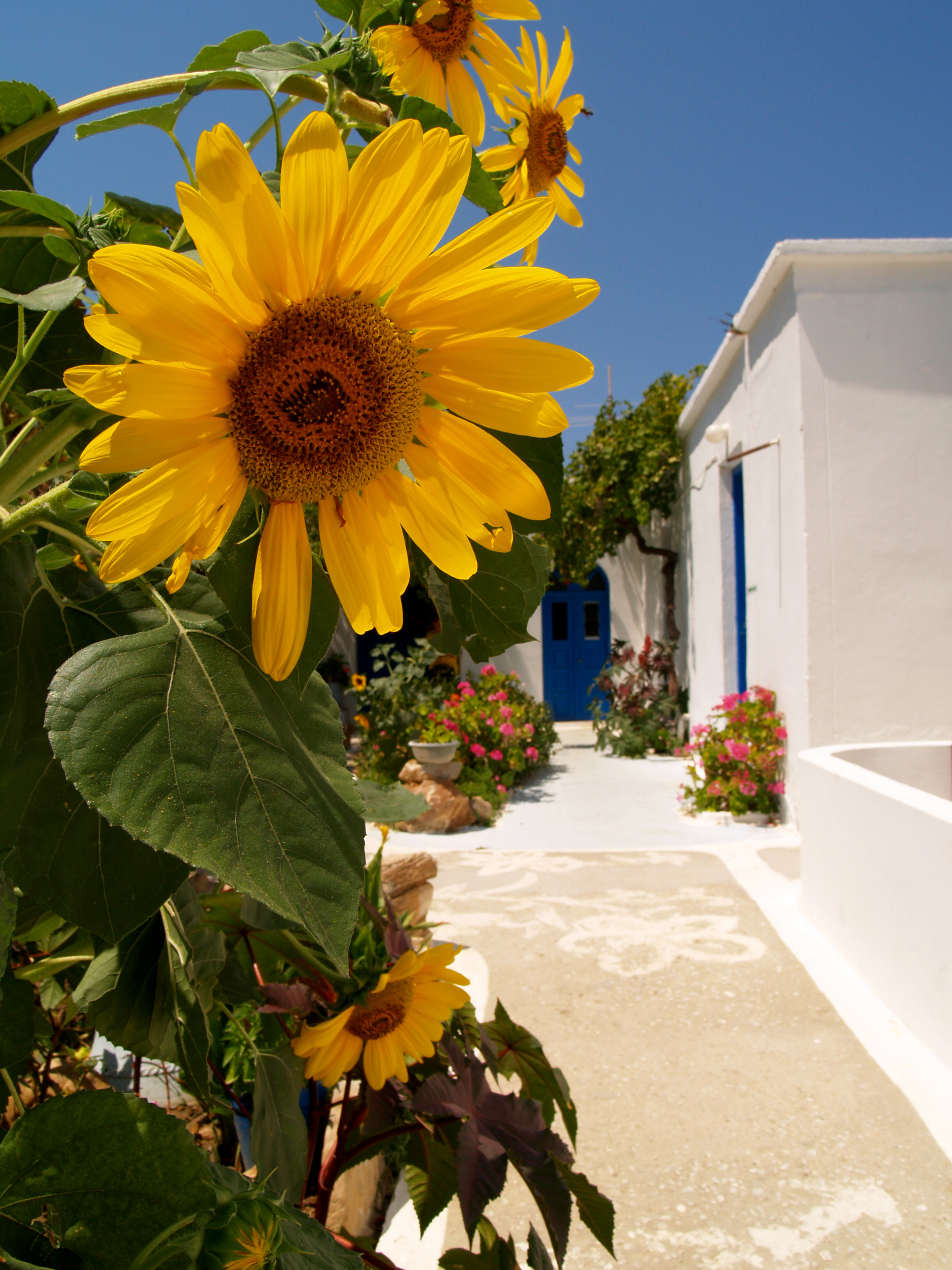 Lakki Village Family Beach Hotel