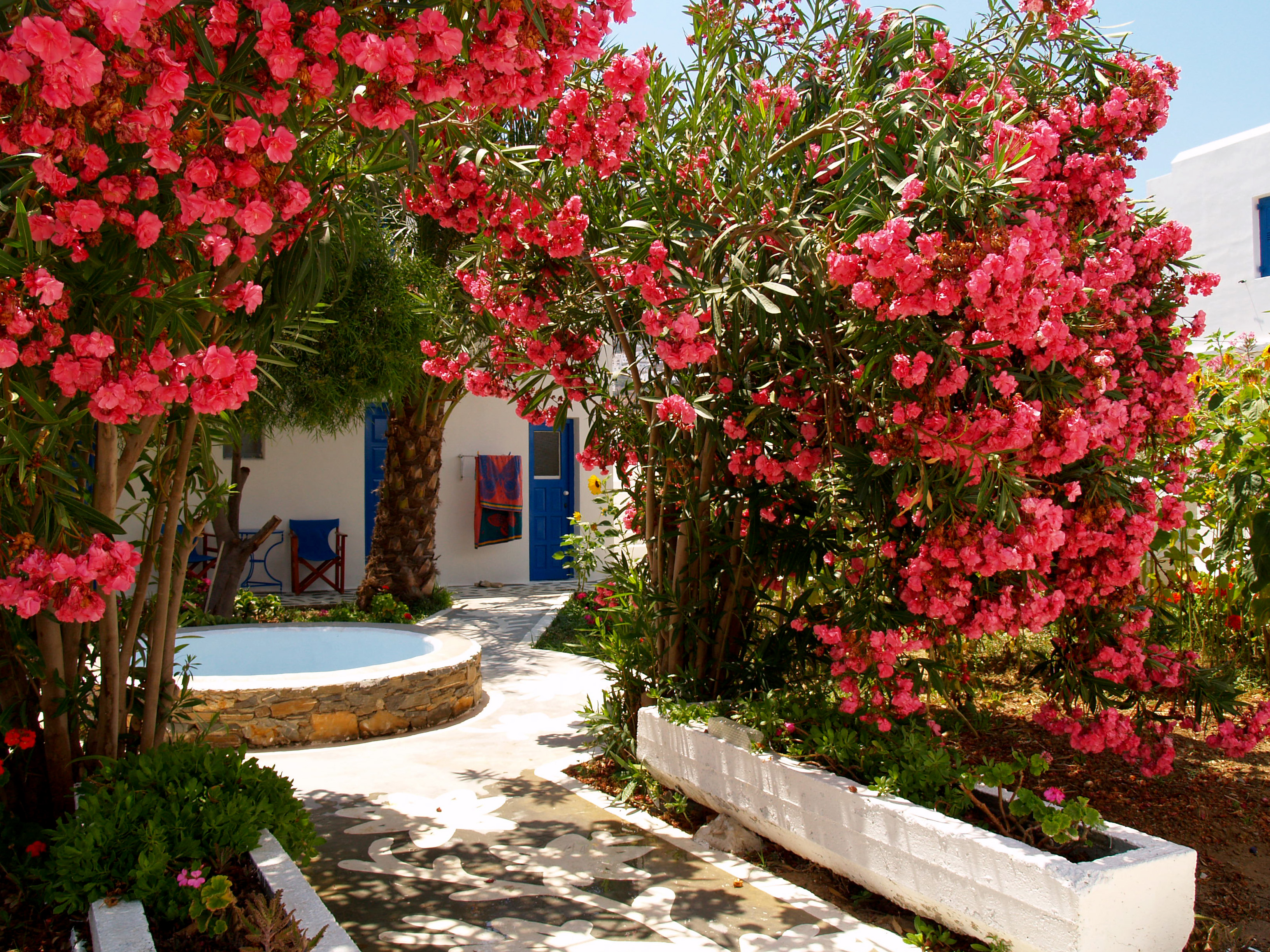 Lakki Village Family Beach Hotel