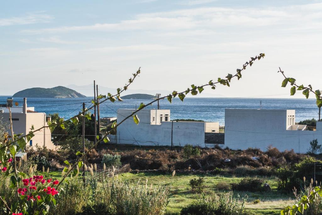 Andros Maisonettes