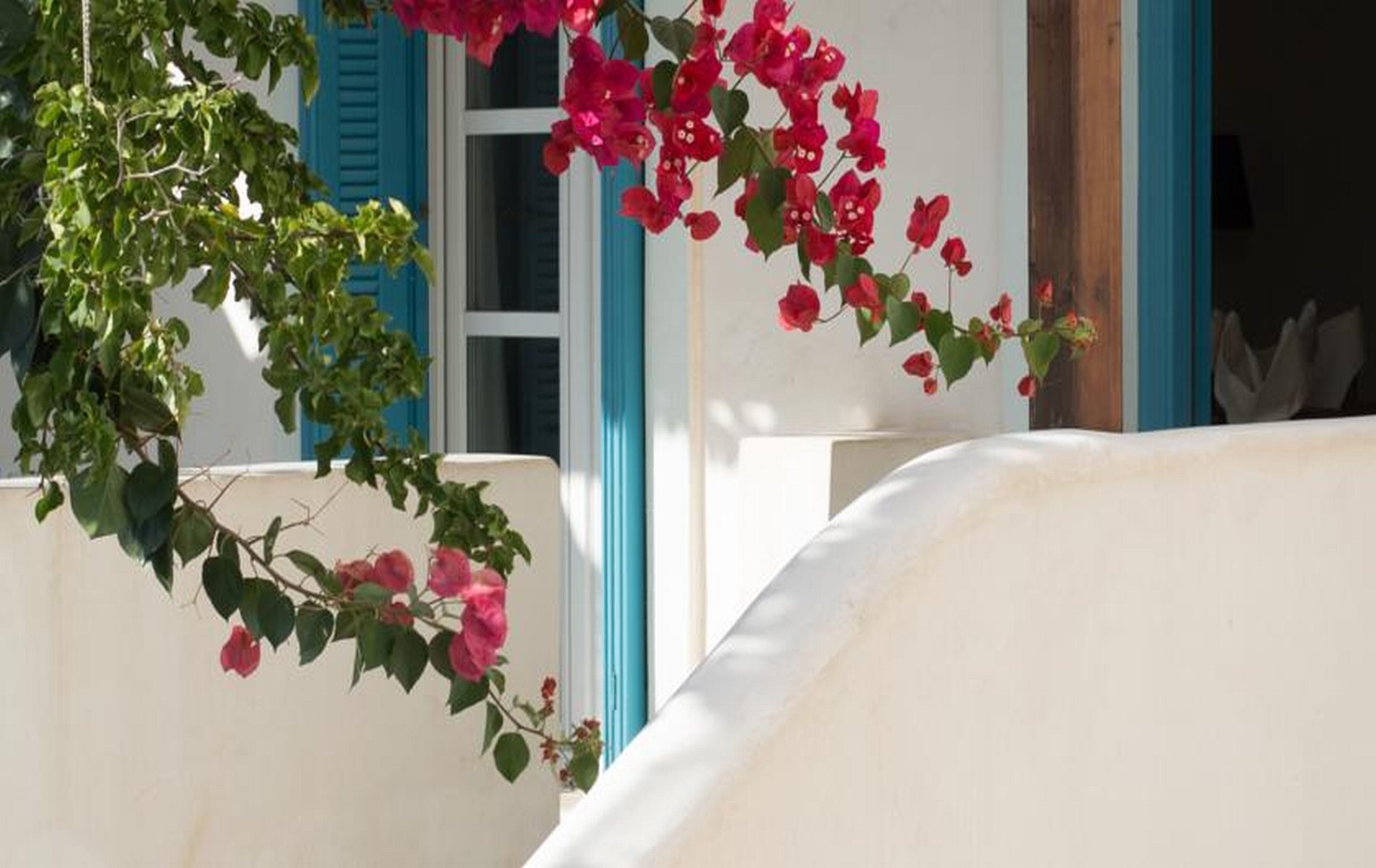 Andros Maisonettes