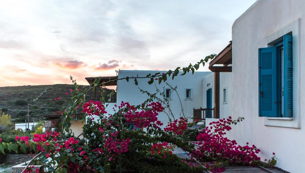 Andros Maisonettes