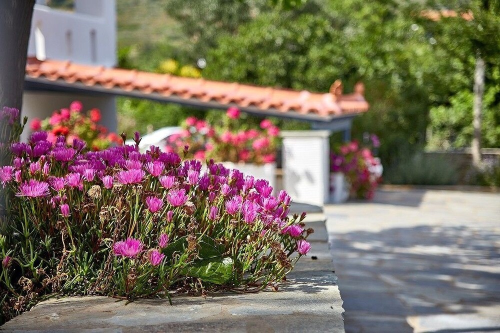 Irene Studios Andros