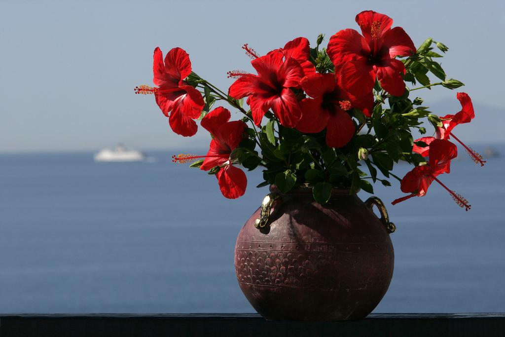 Andros Holiday Hotel