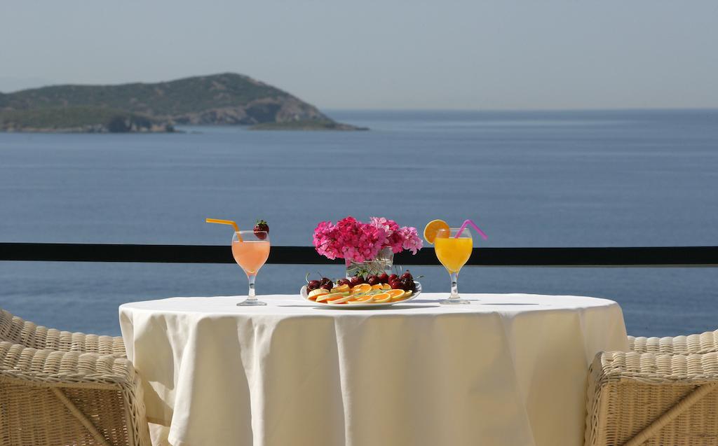 Andros Holiday Hotel