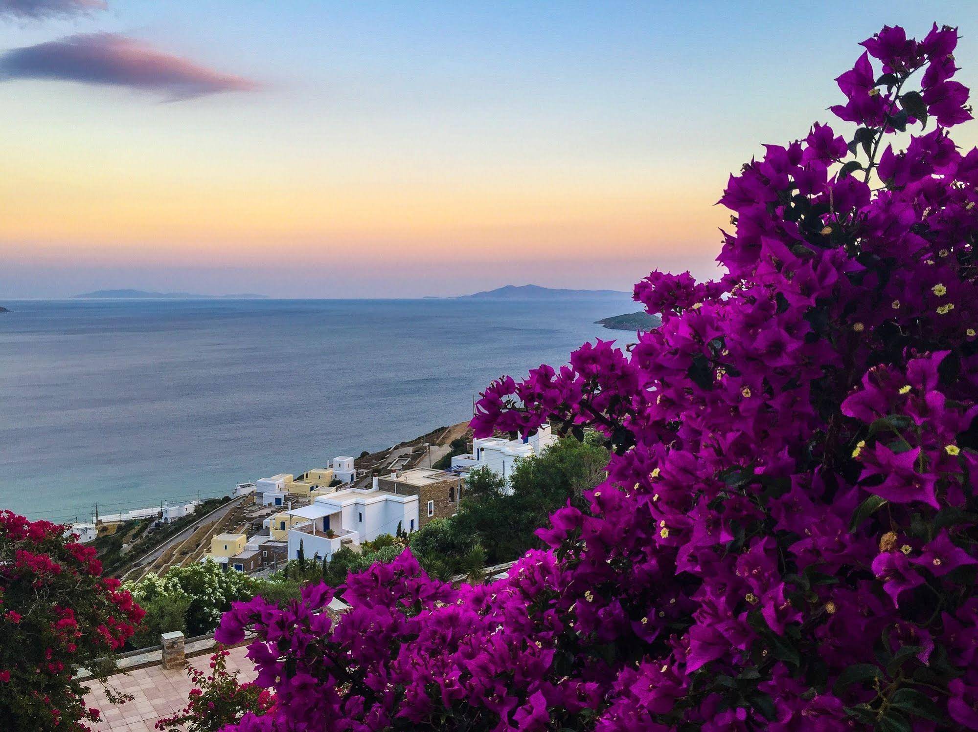Andros Prive Suites