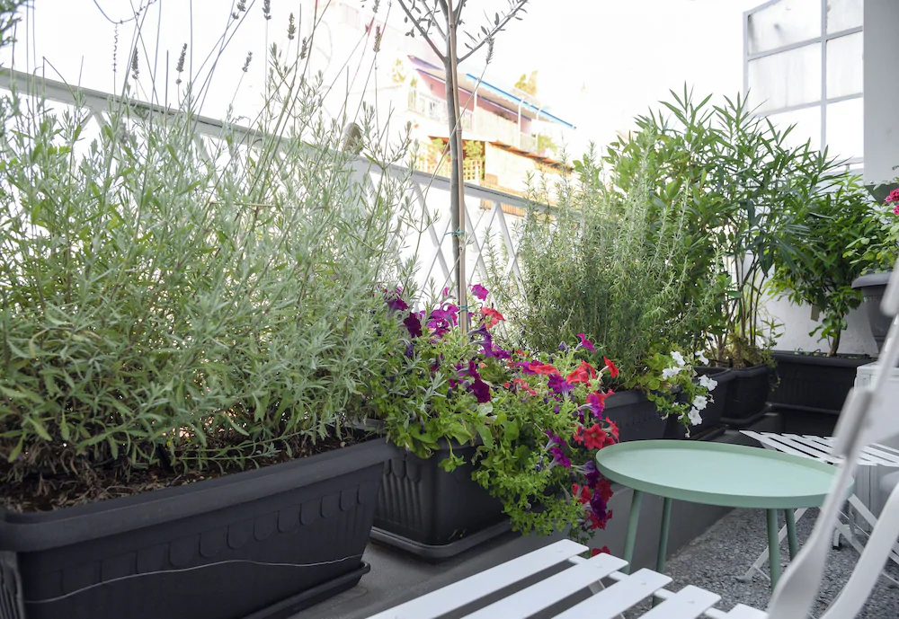 Athenian Sensations Apartments & Suites