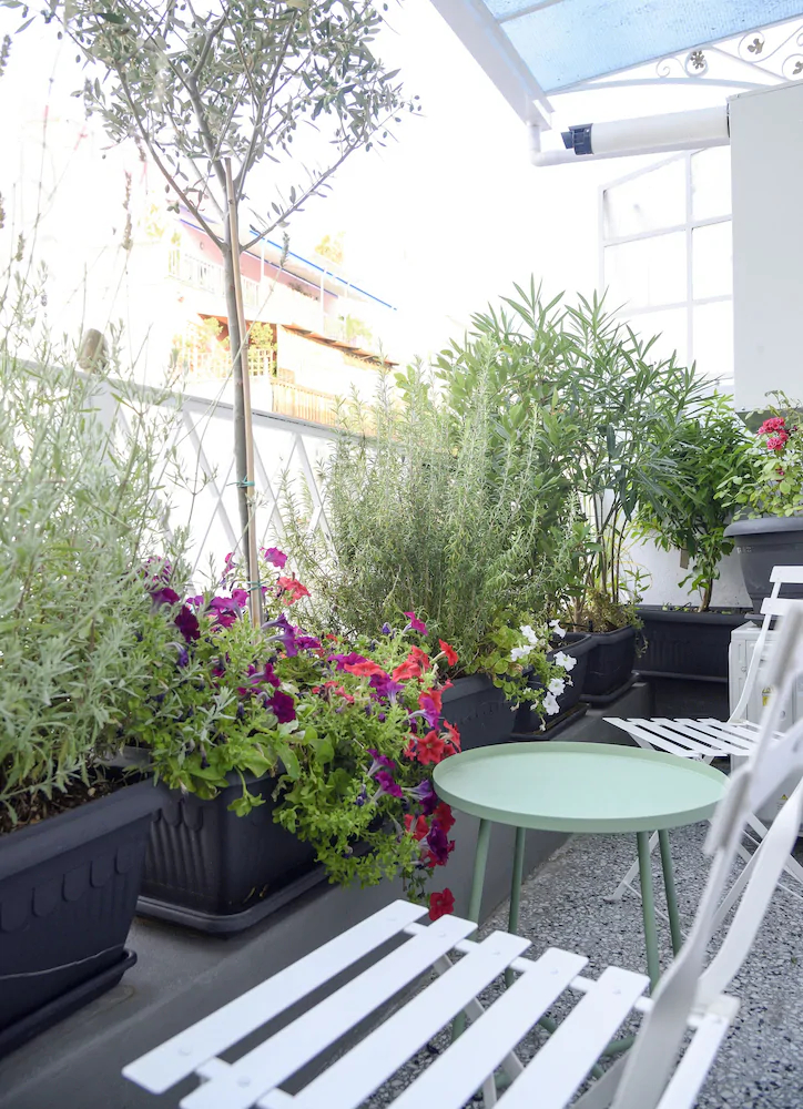 Athenian Sensations Apartments & Suites