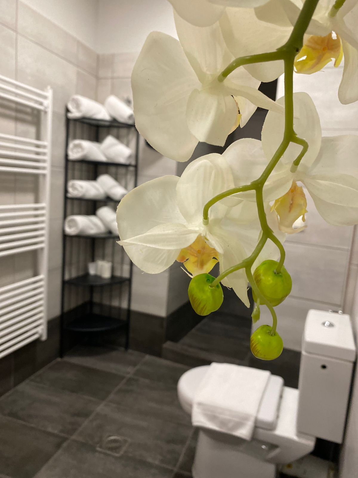 Connect Apartments