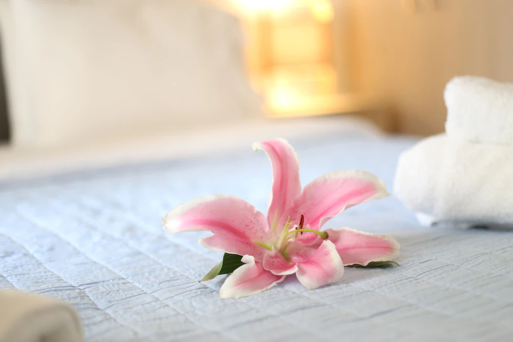 Formionos Morum City Hotel