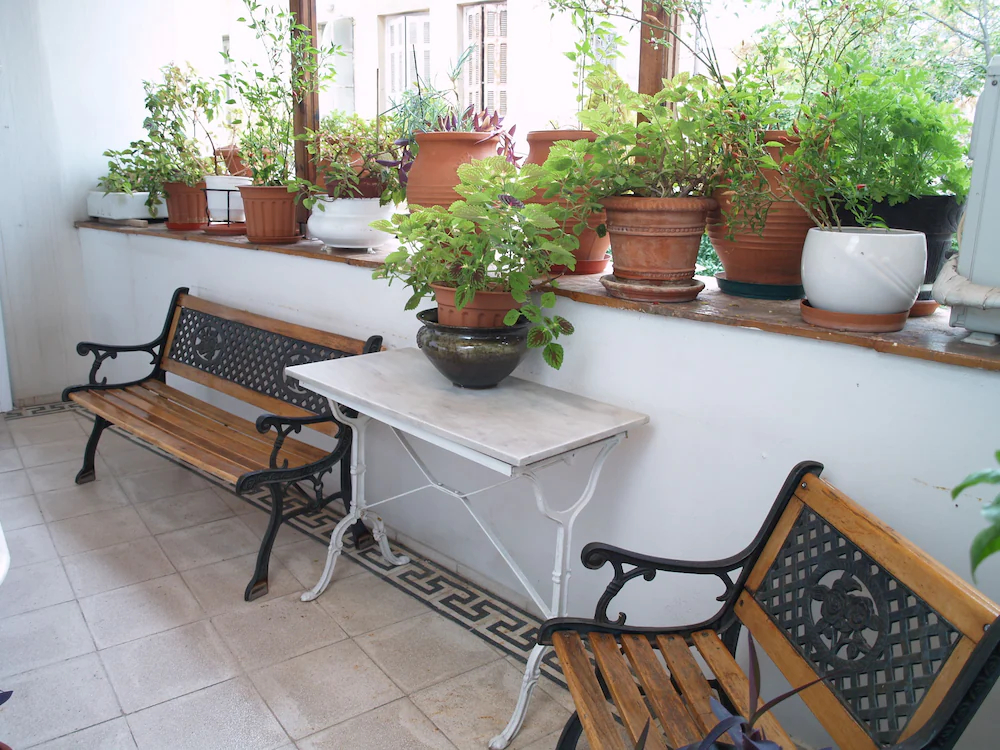 Hotel Acropolis House
