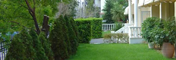Hotel Platon
