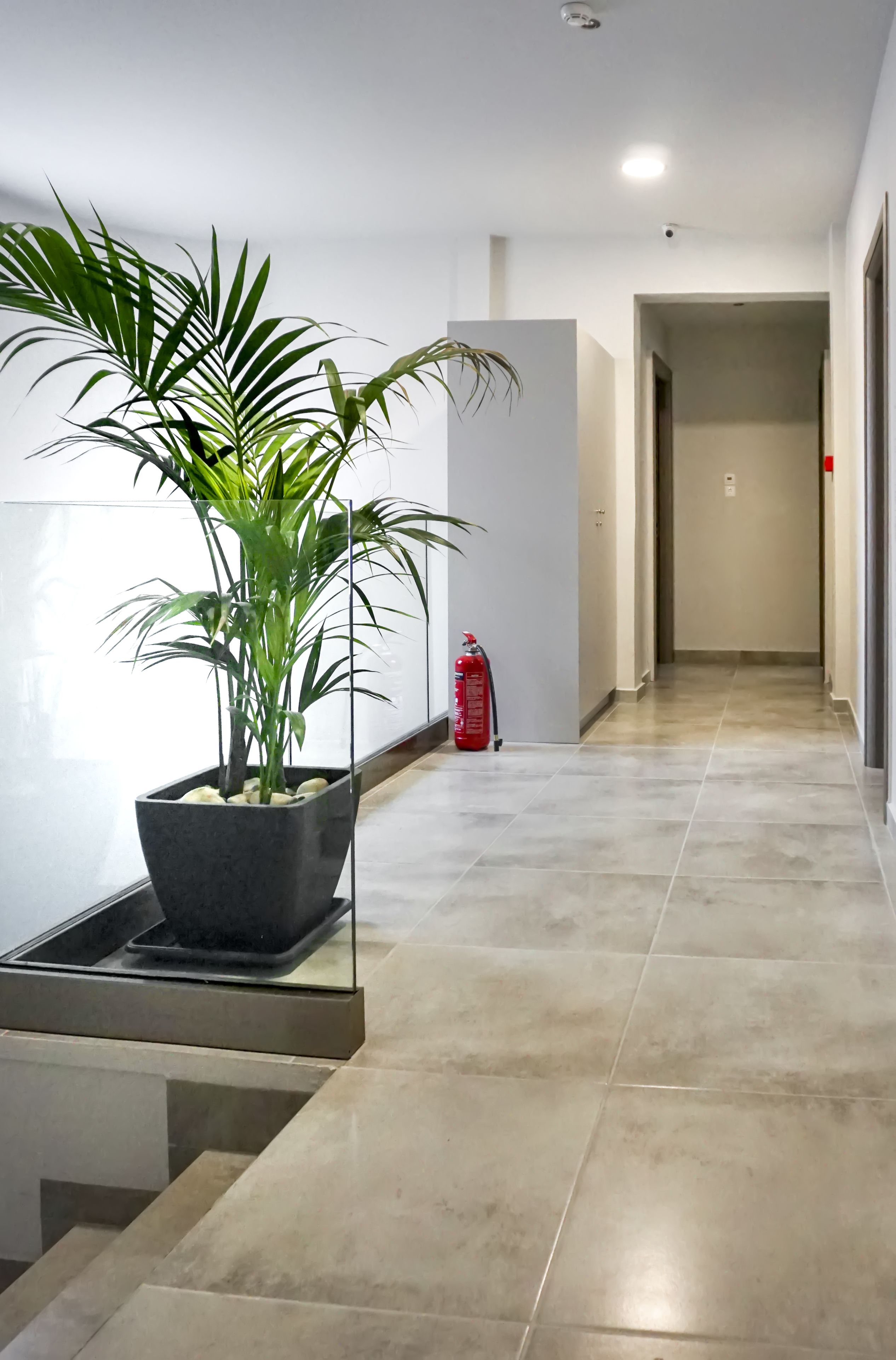 Pallada Athens Boutique Rooms & Apartments