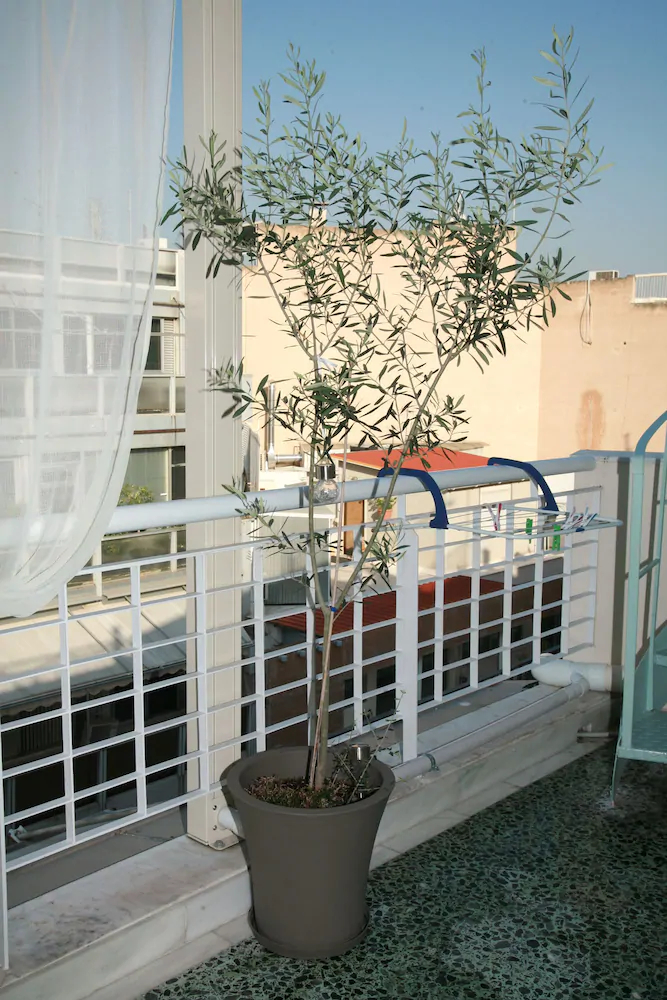 Themelio Boutique Suite