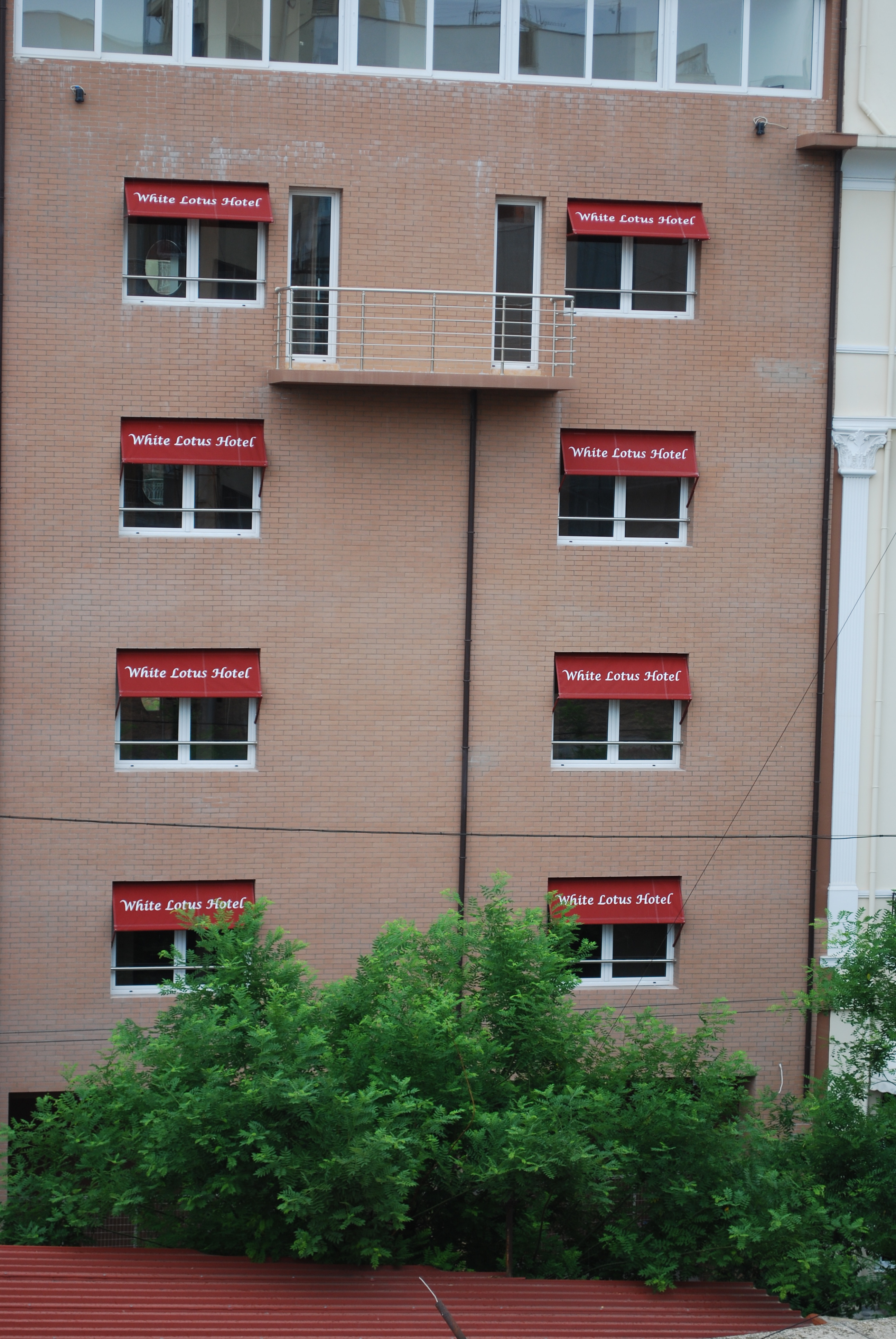 White Lotus Hotel