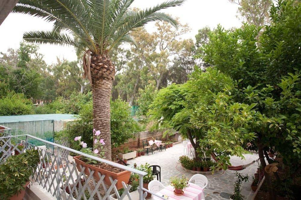 Veggie Garden Athens B&B