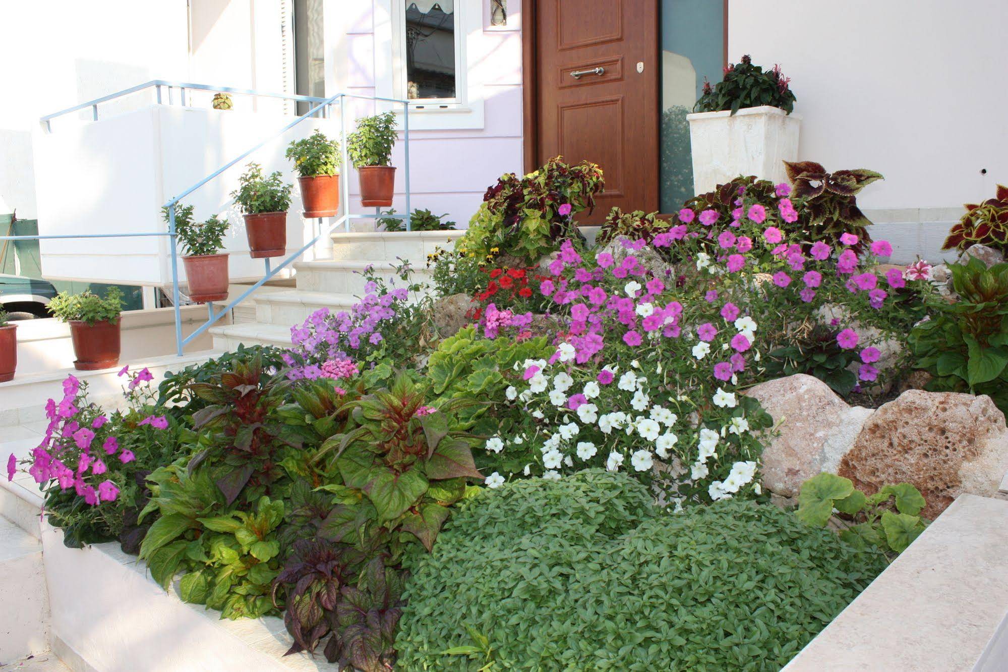 Veggie Garden Athens B&B