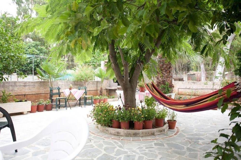 Veggie Garden Athens B&B