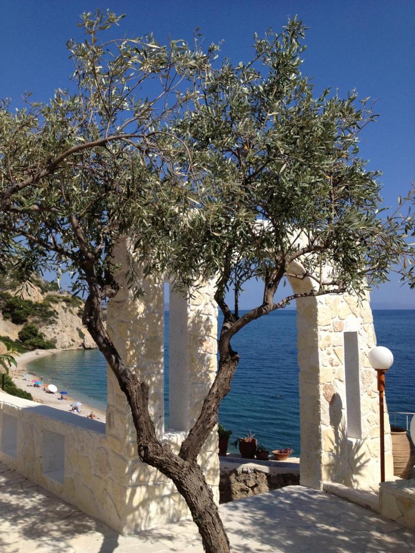 Hotel Cokkinis
