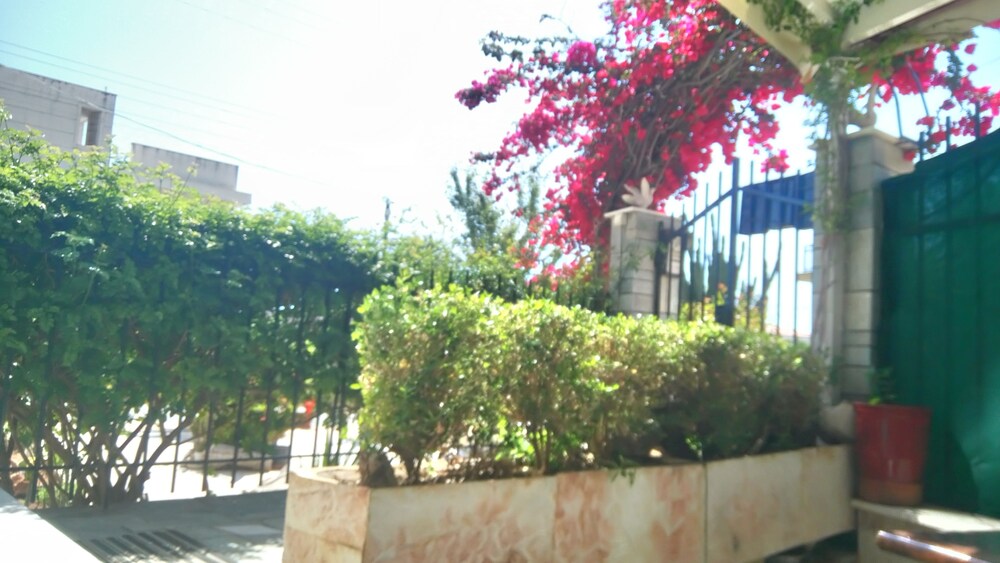 Villa George