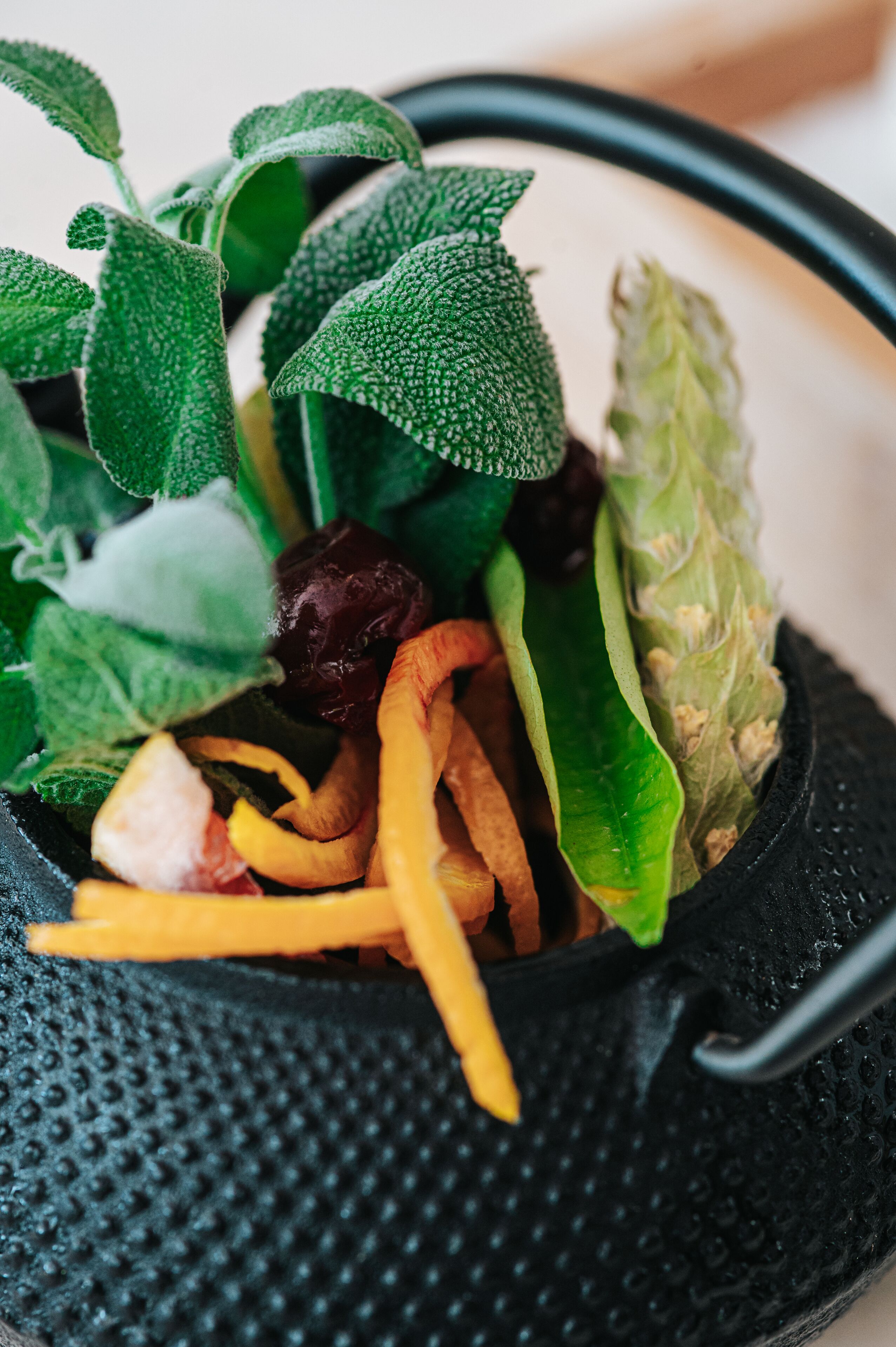 Athenarum Portus Life & Style Hotel