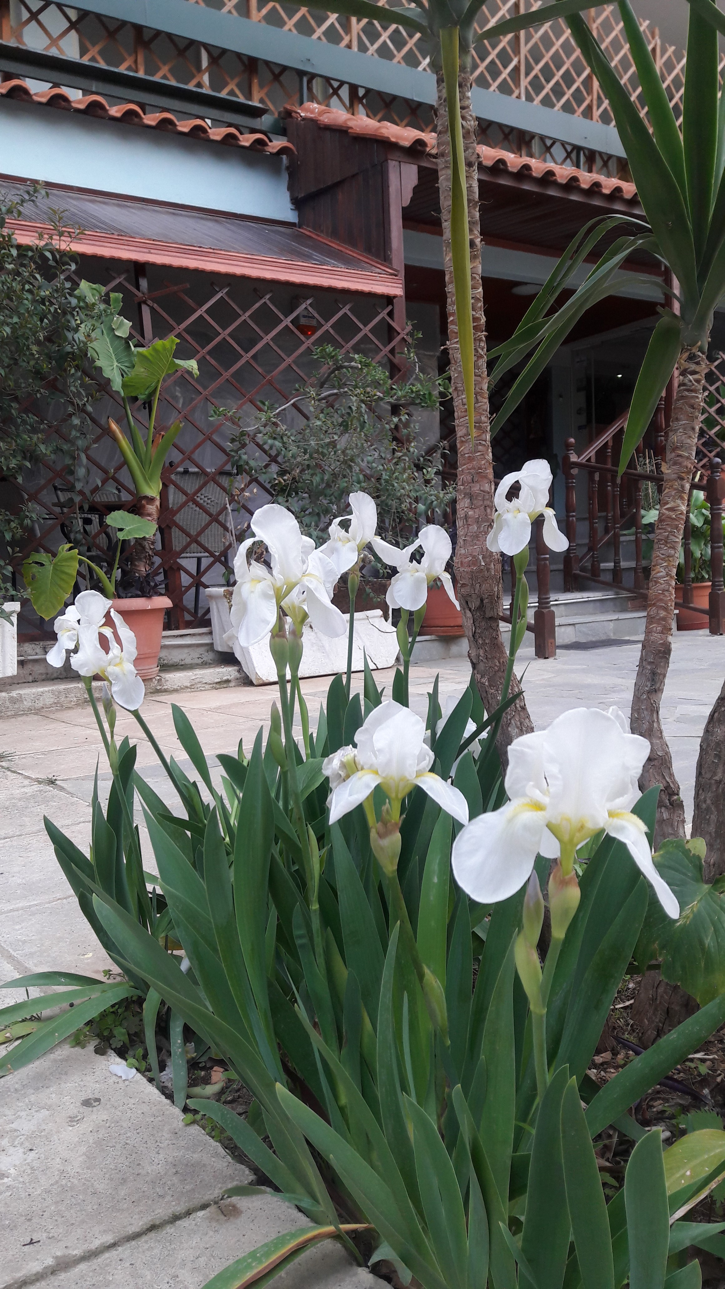 Les Amis Airport Hotel