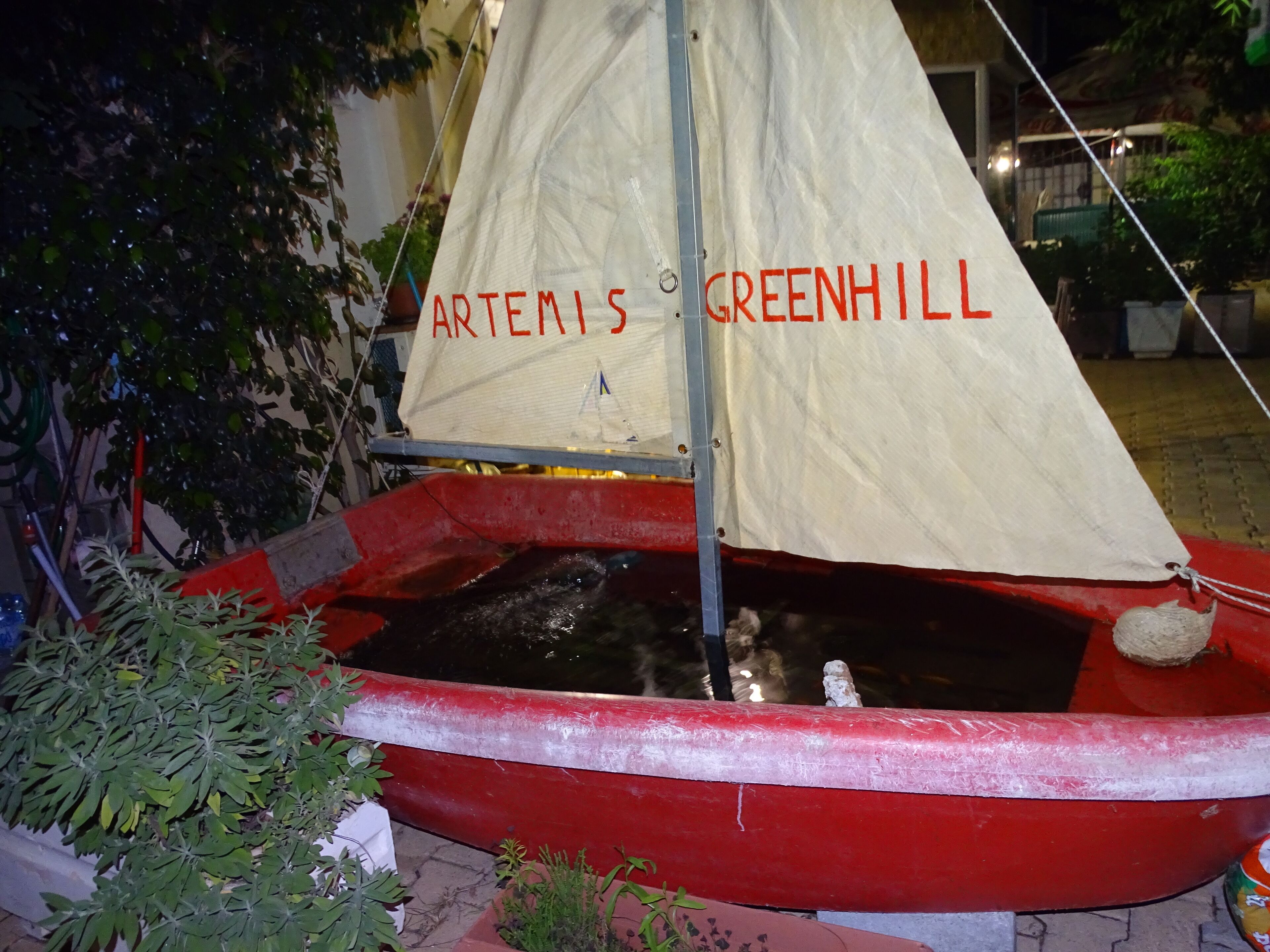 Artemis Greenhill