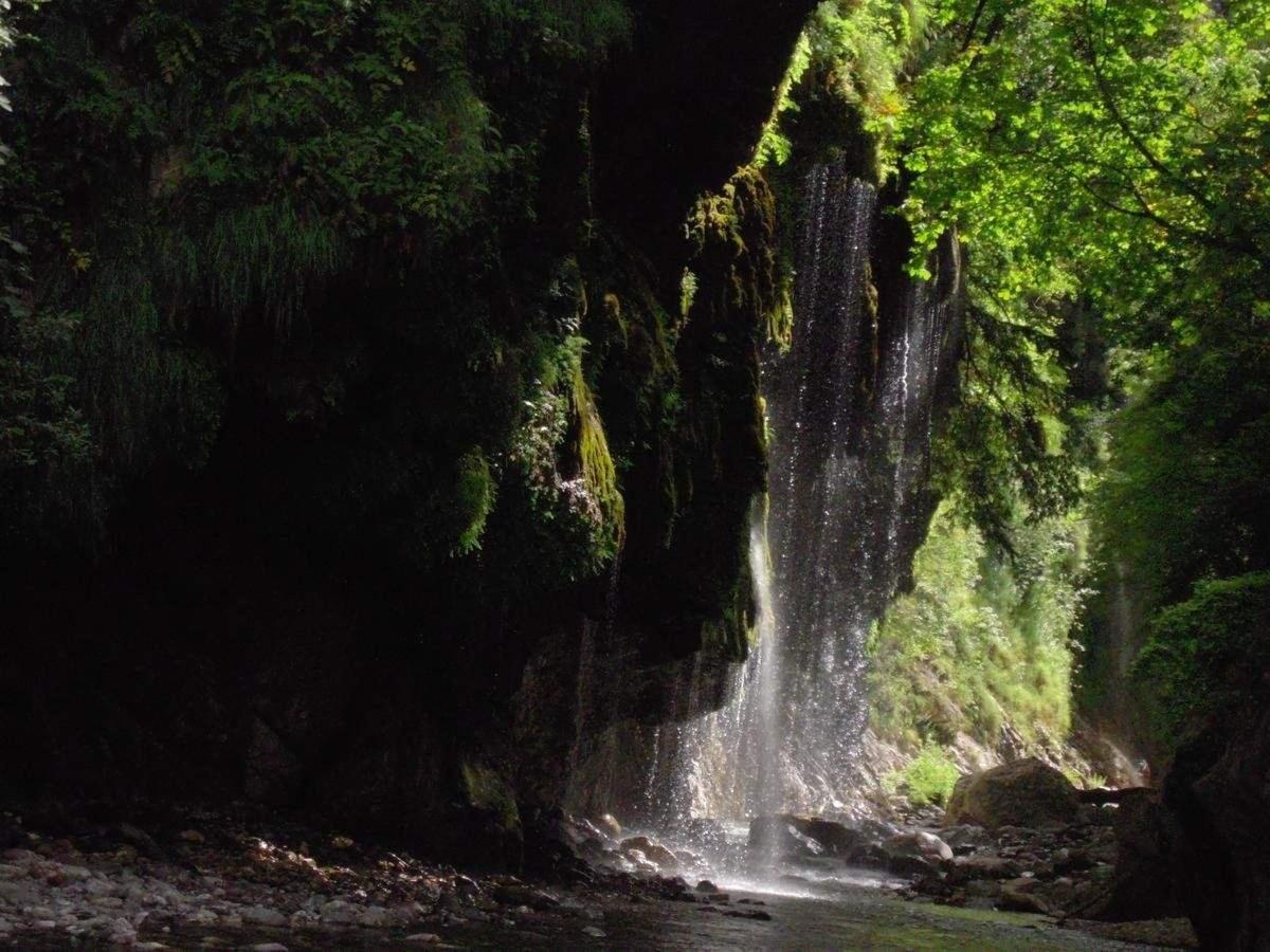 Guest House Waterfall