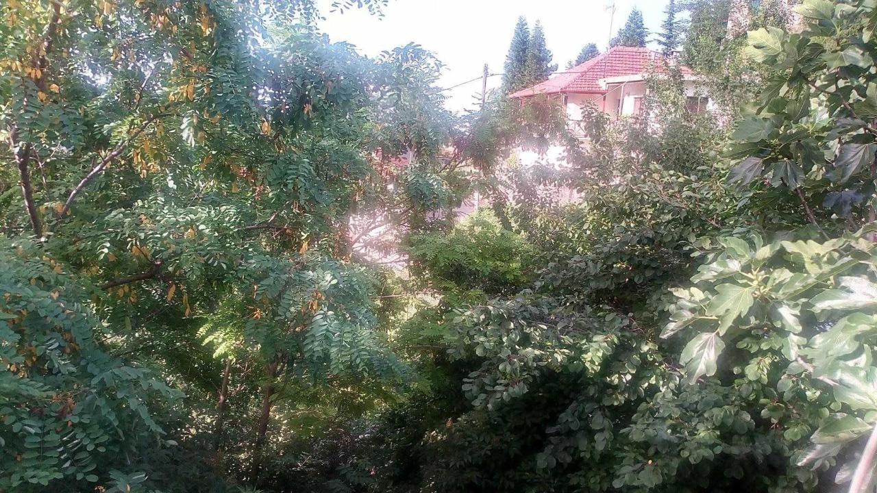 Guest House Waterfall