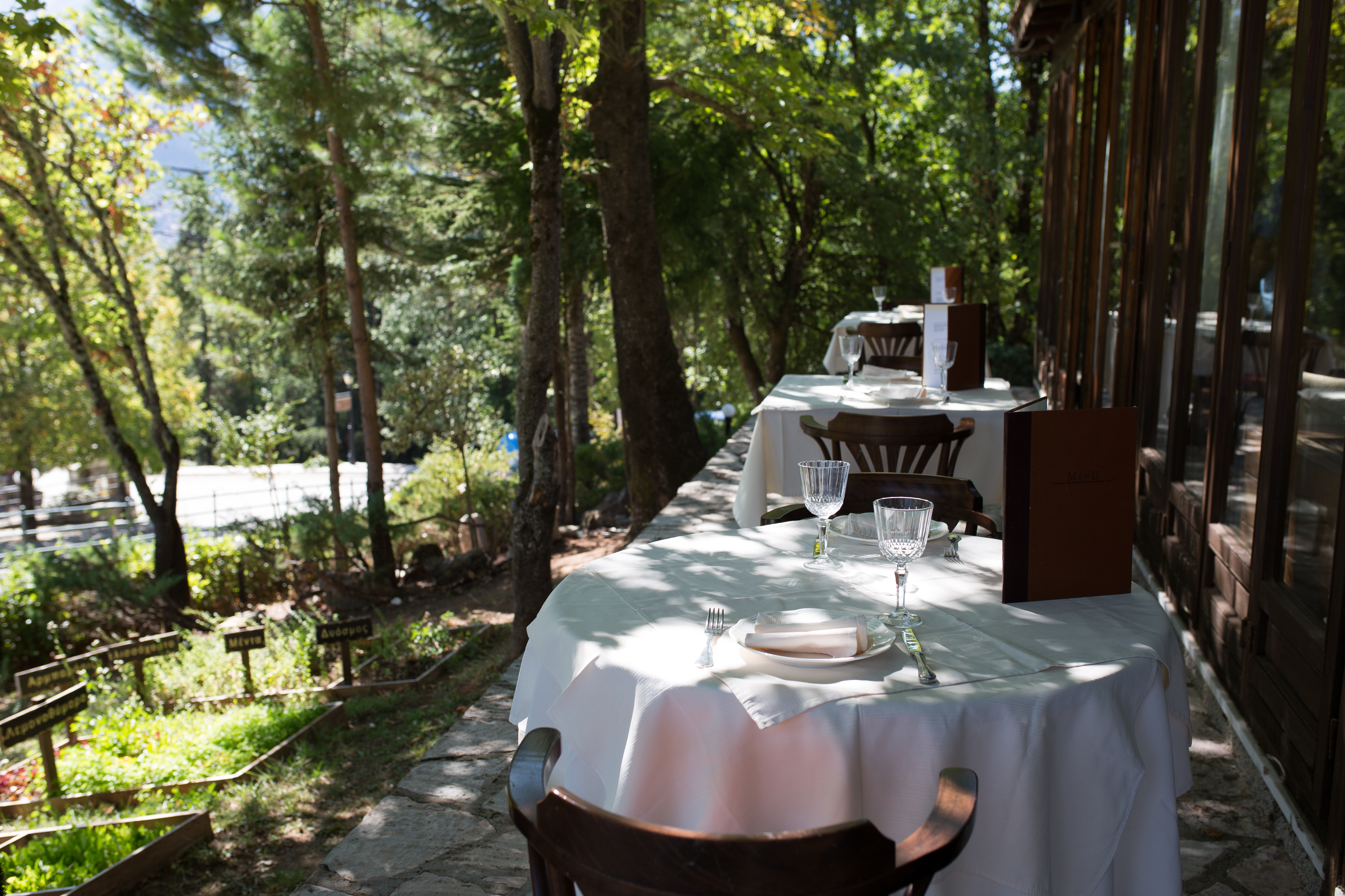 Country Club Hotel & Suites