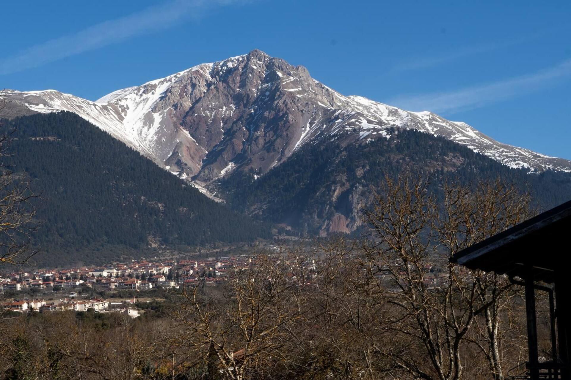 Forest Haven Chalet Karpenisi