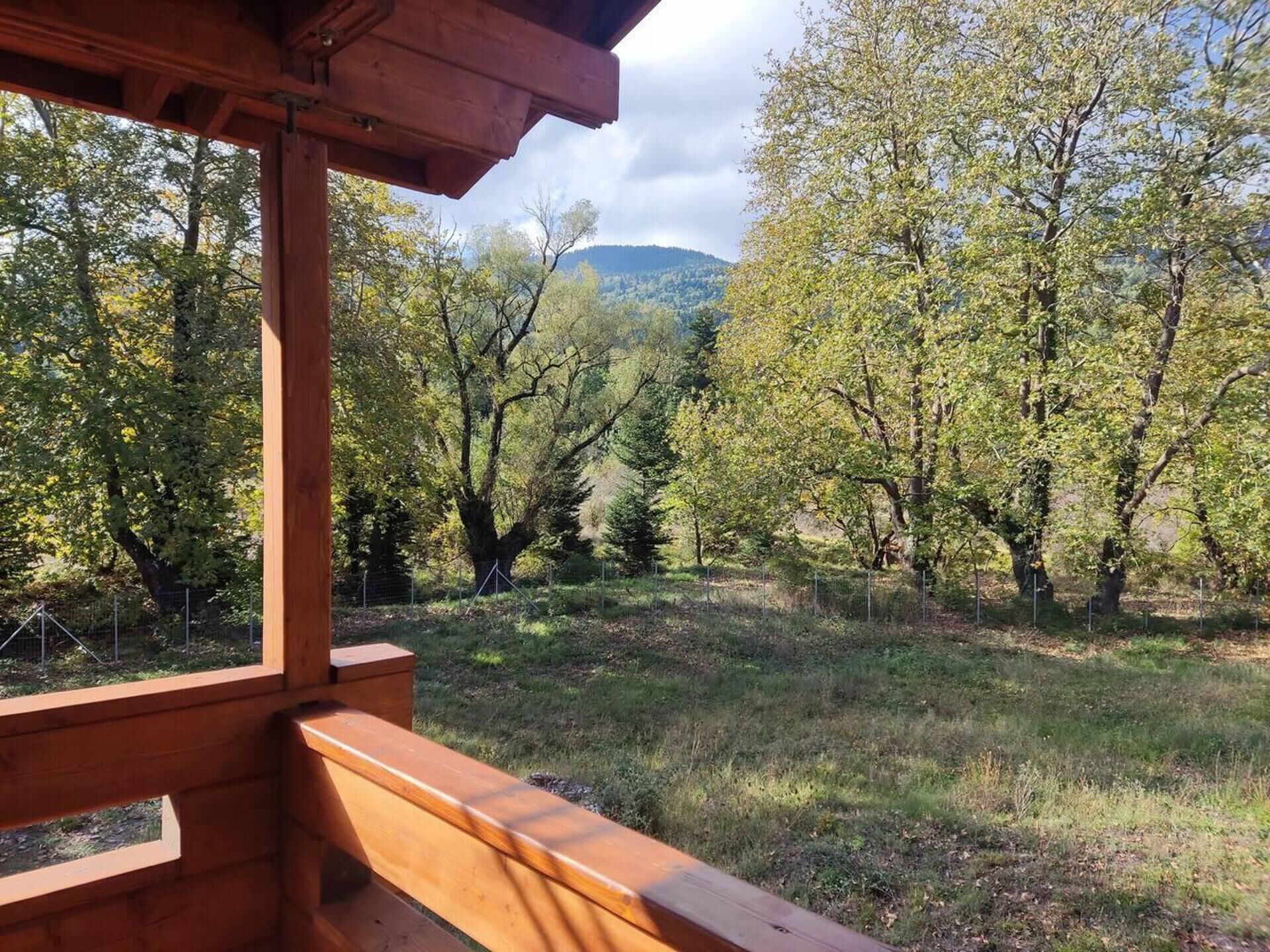 Forest Haven Chalet Karpenisi