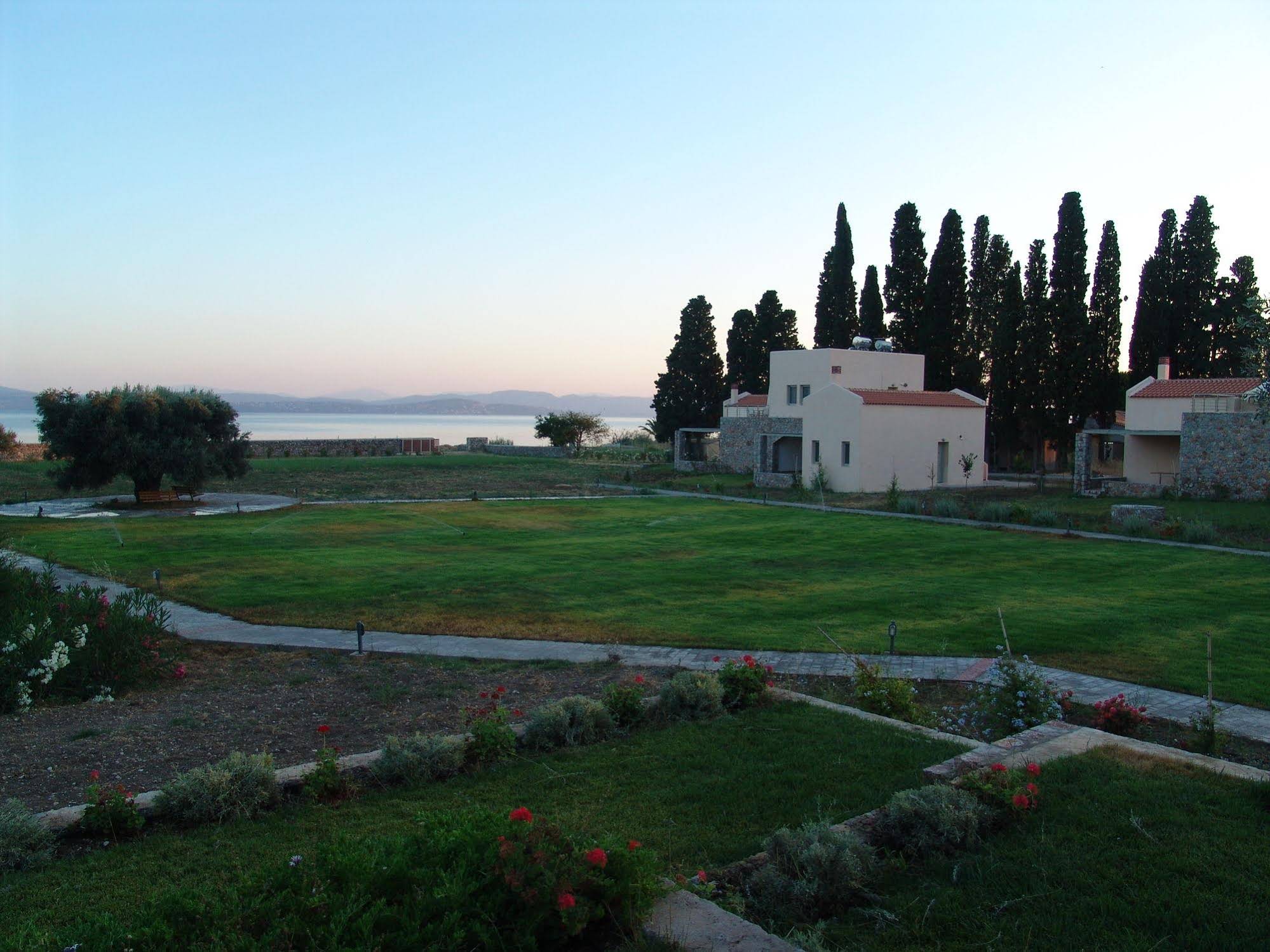 Enalia Gi