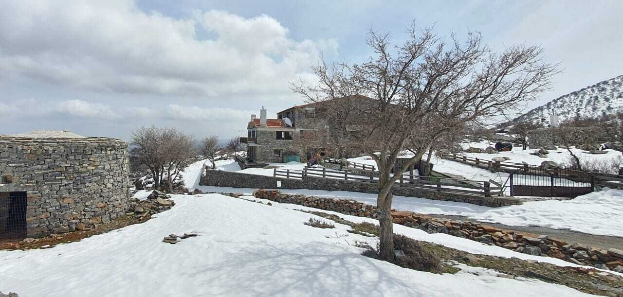 Psiloritis Retreat Chalet