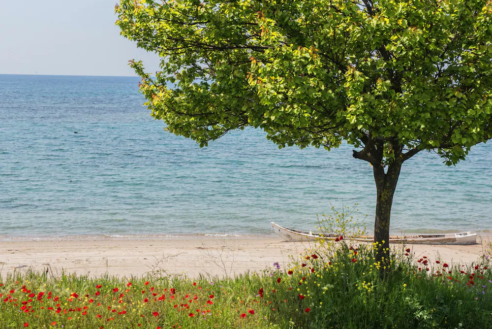 Nereus Seafront Villa by QR Booking