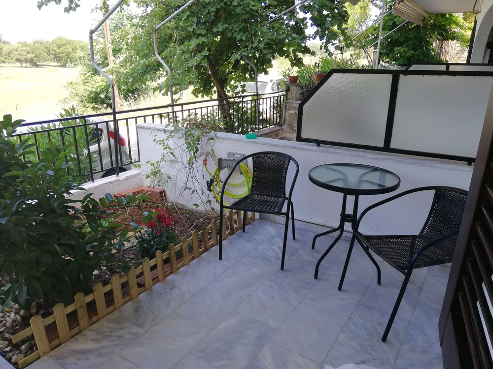 Zoe's Ideal Summer House