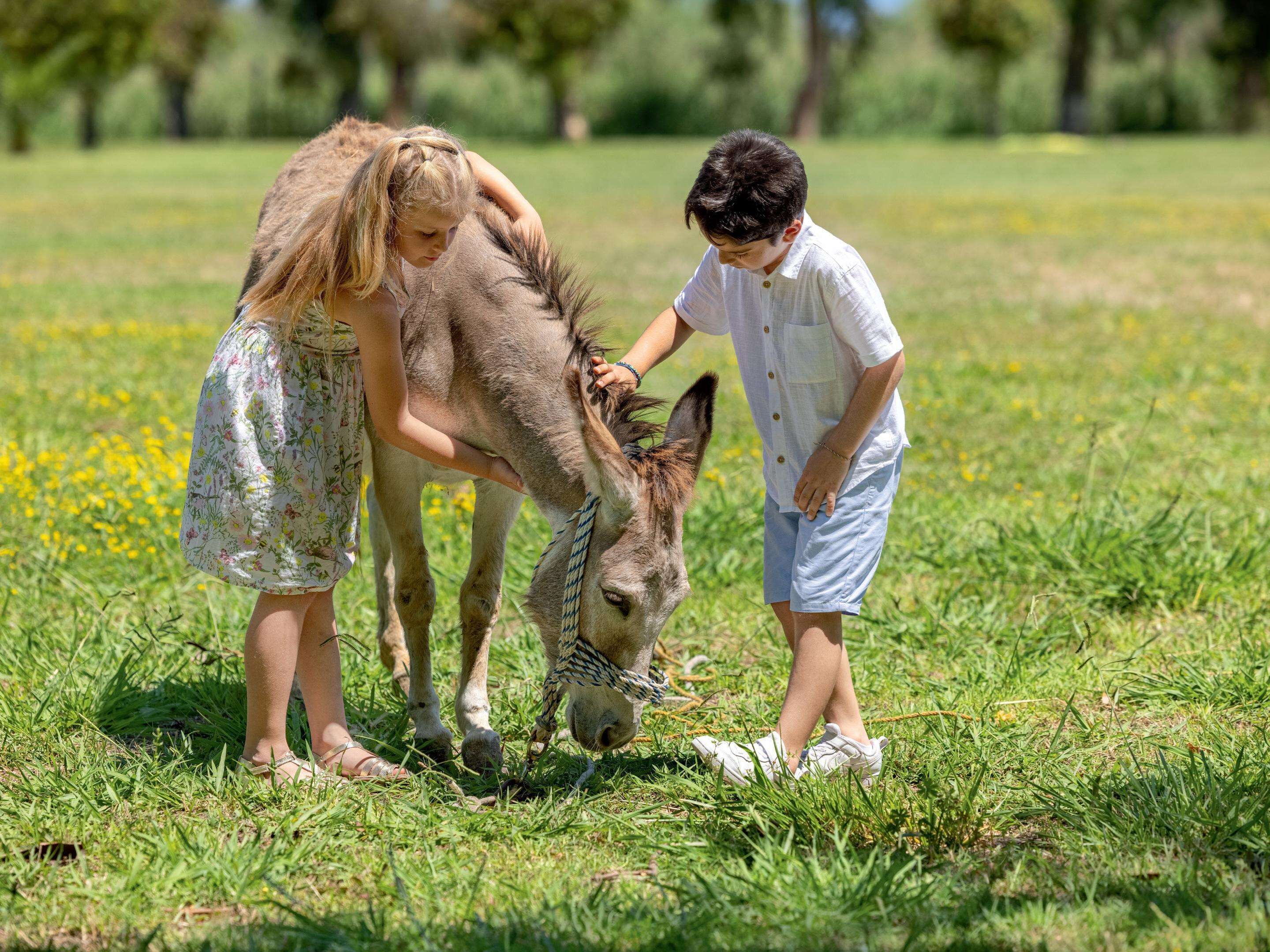 Grecotel LUXME Costa Botanica
