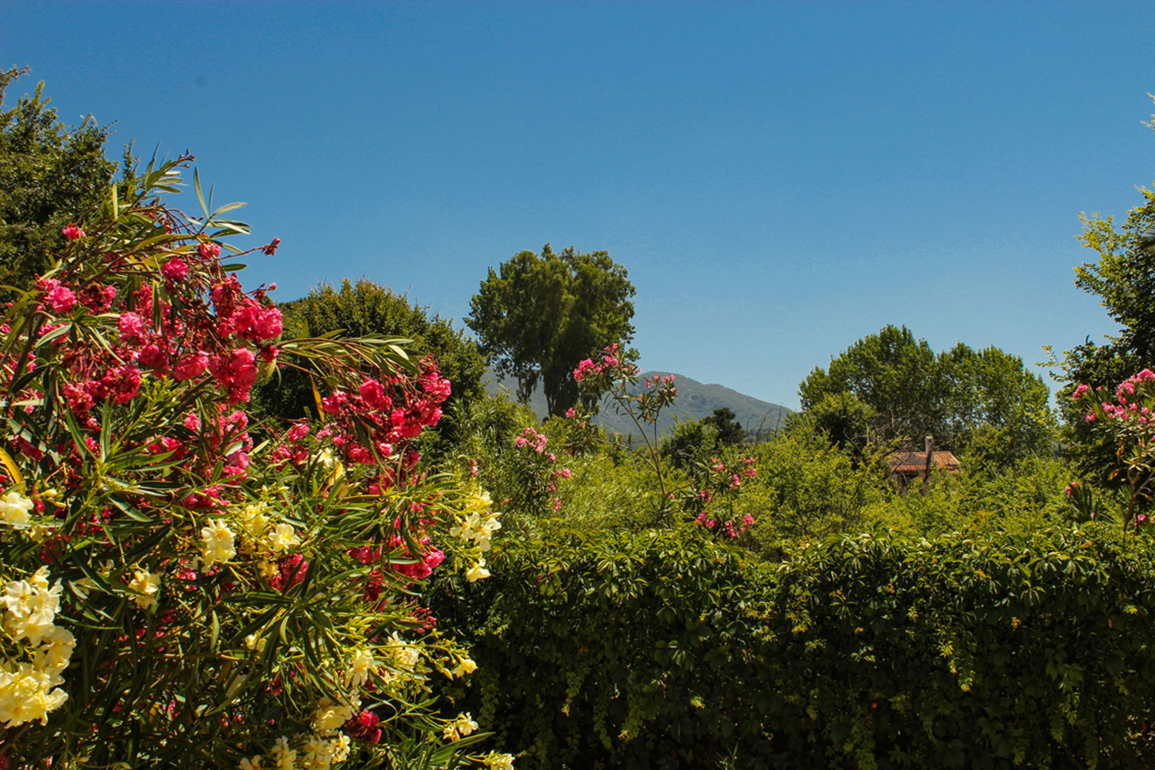 Nireas Resort Corfu