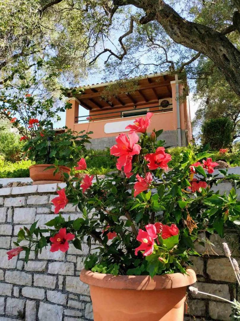 Villa Stefanos