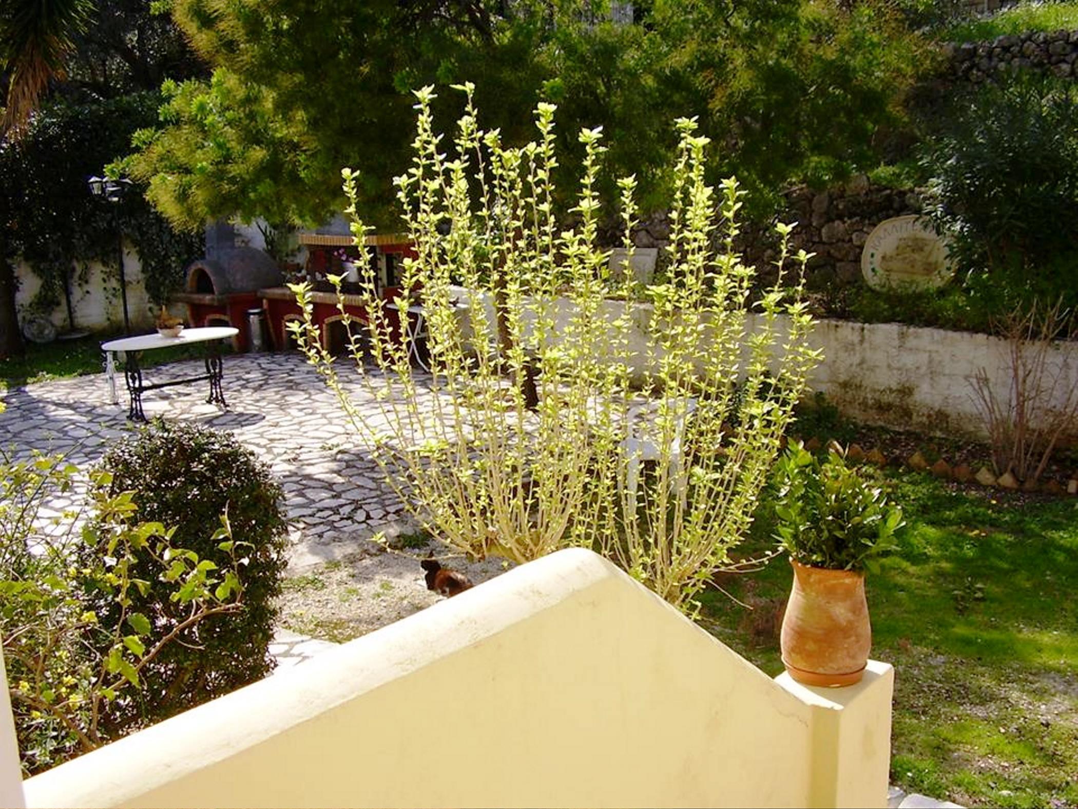 Anasa Corfu