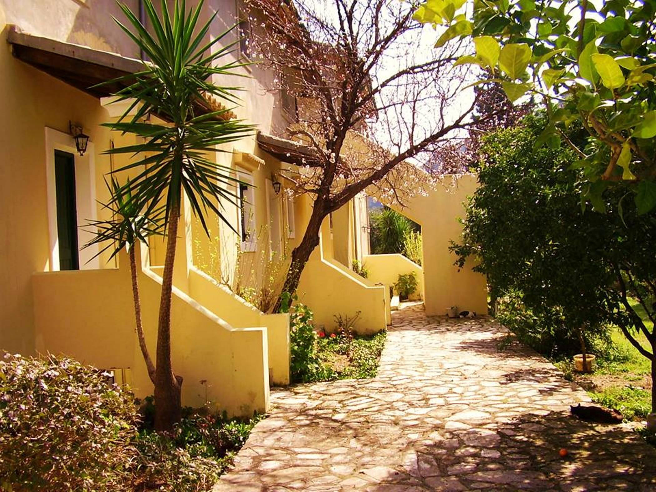 Anasa Corfu
