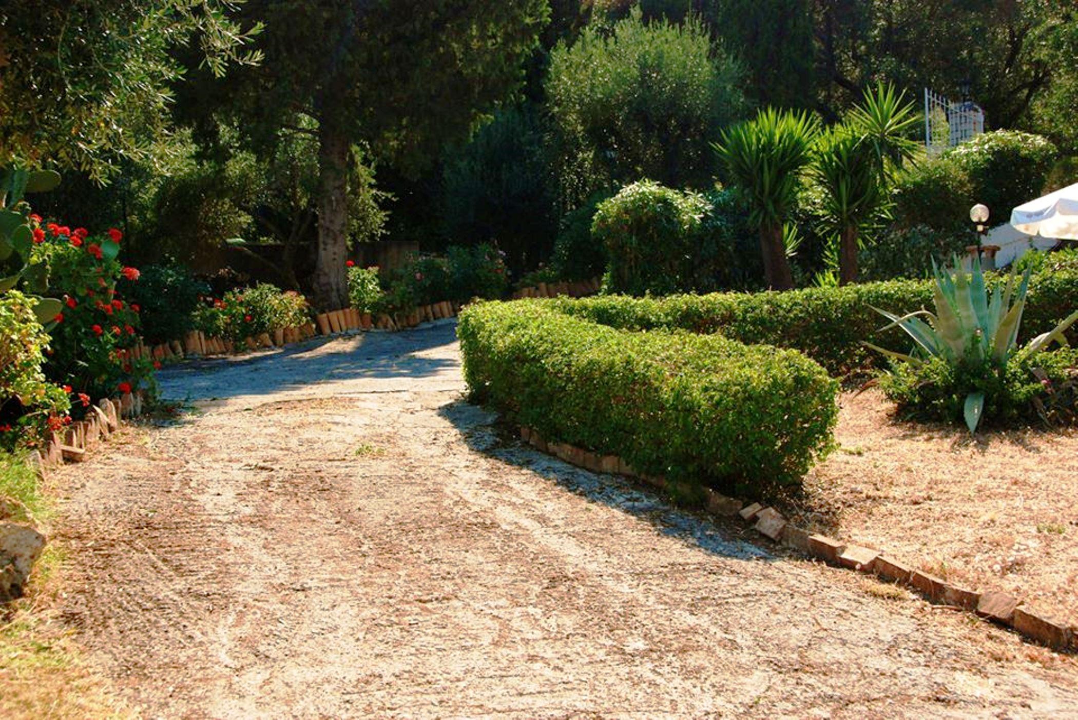 Anasa Corfu