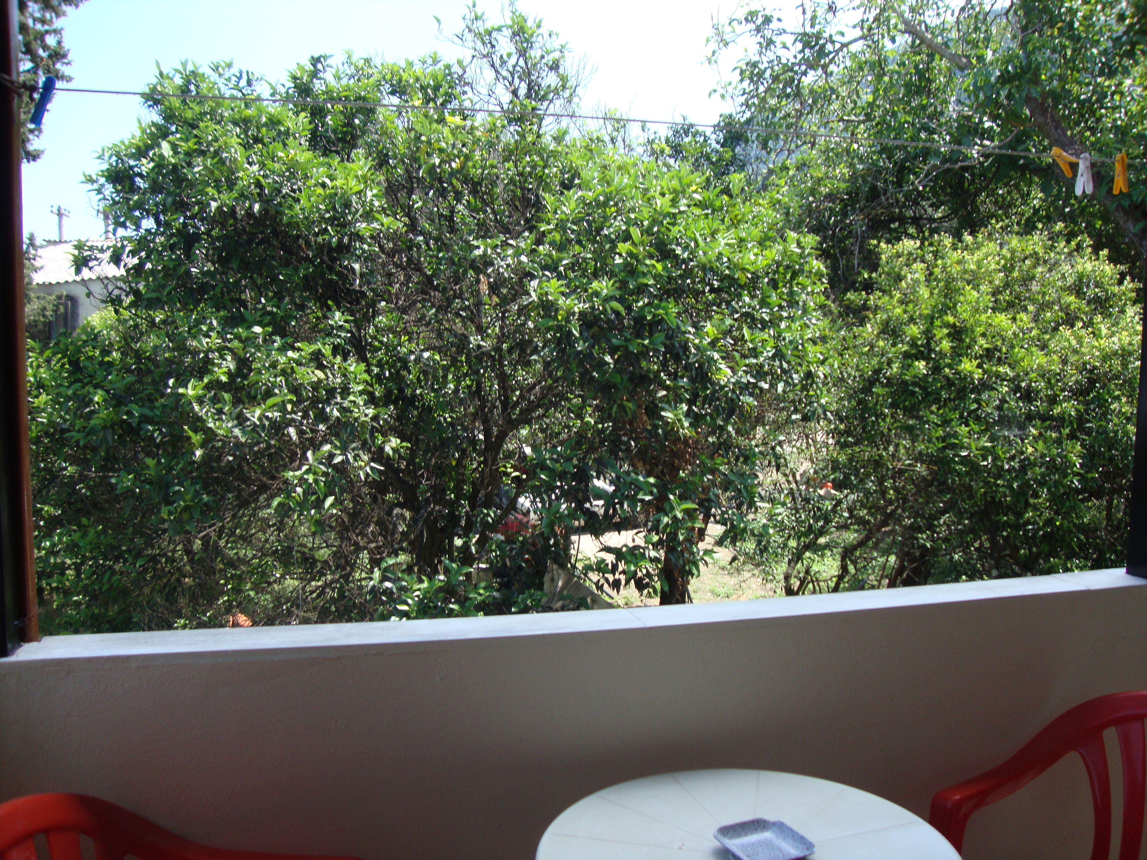 Anya Studios