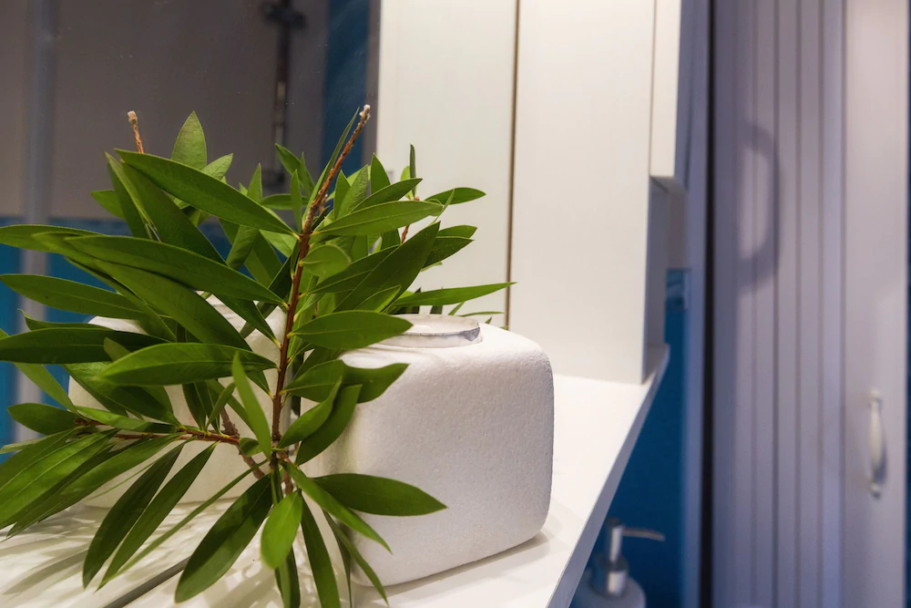 Calliope Corfu Apartments