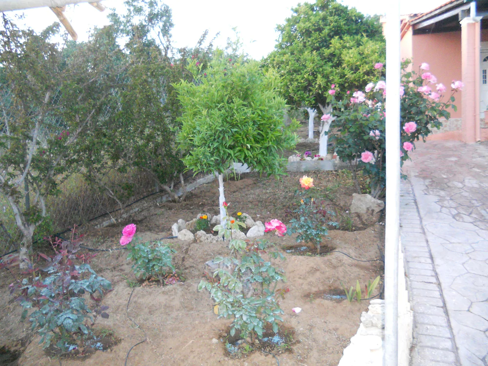 Effi House