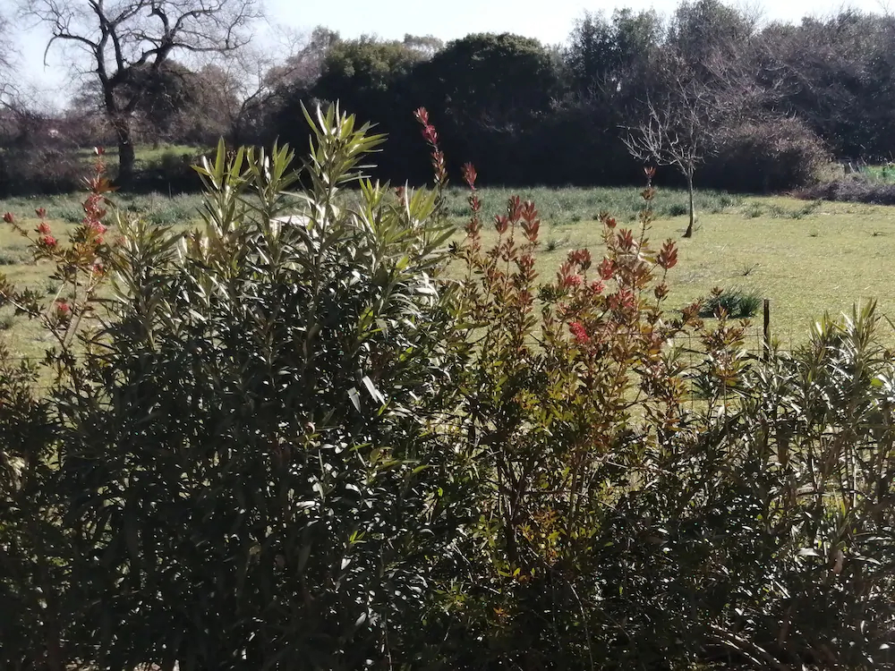 Helen's Family Home