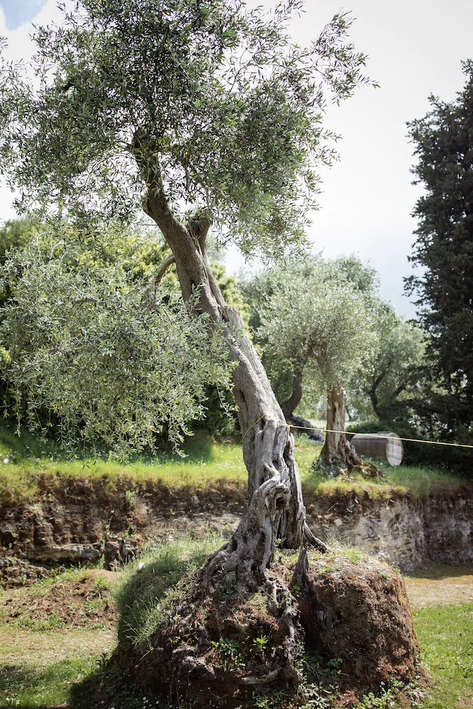 Villa Costa