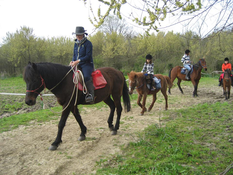 Marilena Apartments & Studios