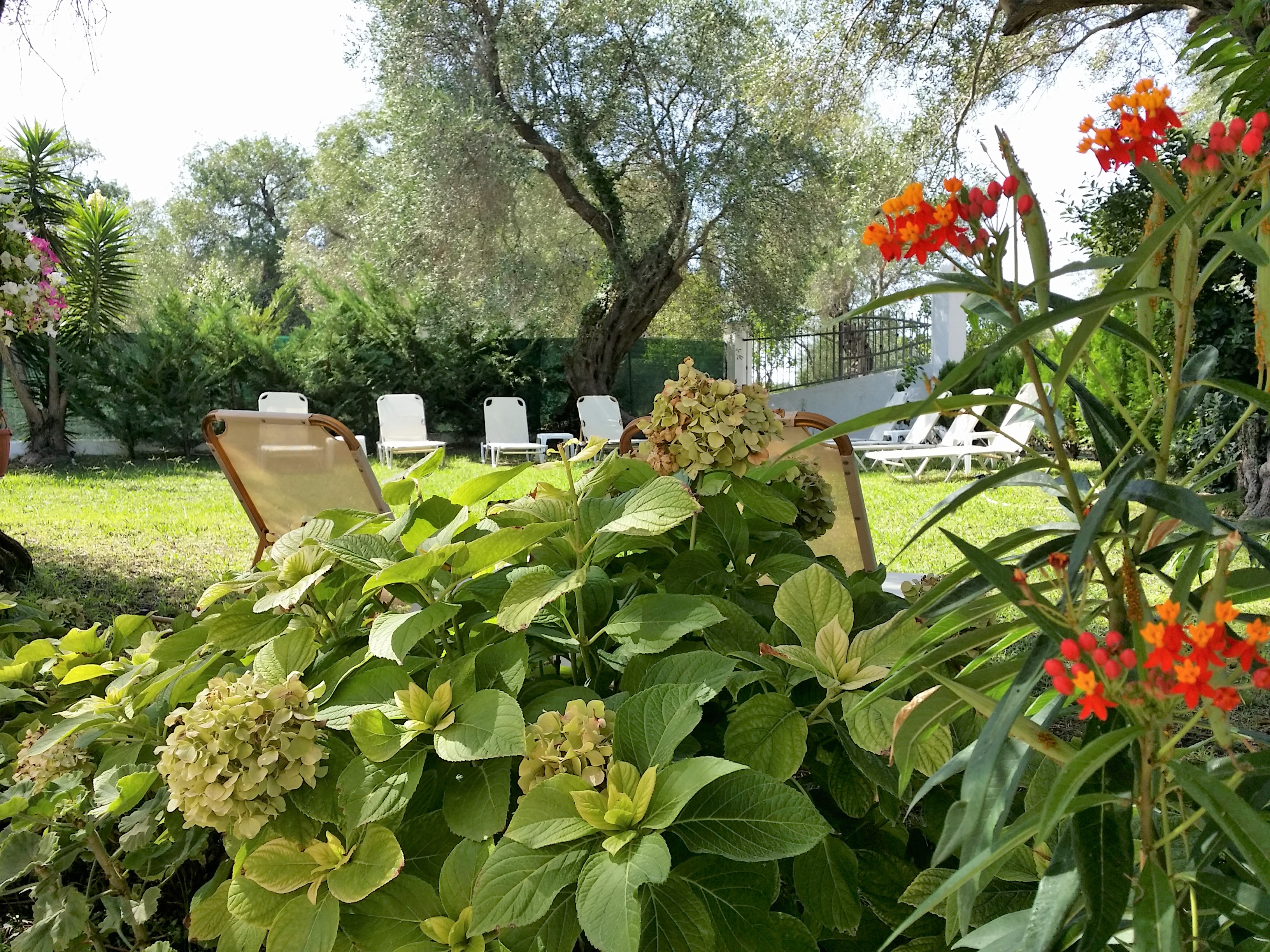 Marilena Apartments & Studios