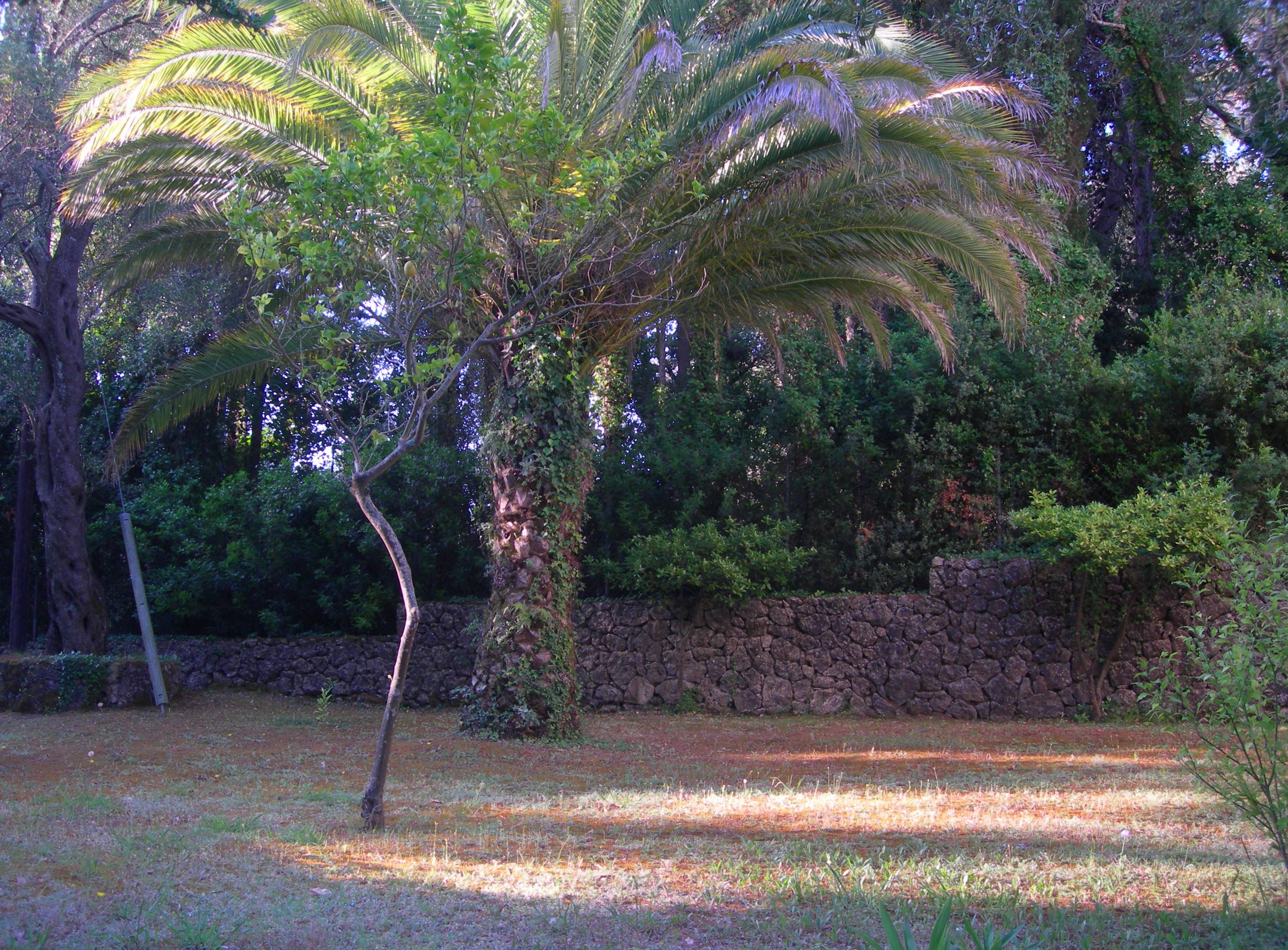 Villa Karmar Aparthotel